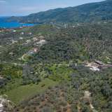  For Sale - (€ 0 / m2), Agricultural 3378 m2 Poros 8027049 thumb6