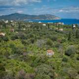  For Sale - (€ 0 / m2), Agricultural 5065 m2 Poros 8027051 thumb5