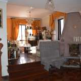   Funchal 5127541 thumb4