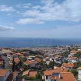   Funchal 5127541 thumb17