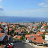   Funchal 5127541 thumb20