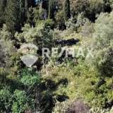  For Sale - (€ 0 / m2), Agricultural 12208 m2 Lefkada 7627708 thumb8