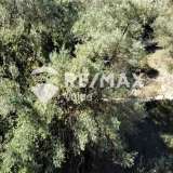  For Sale - (€ 0 / m2), Agricultural 12208 m2 Lefkada 7627708 thumb9