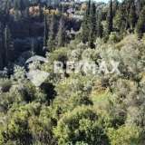  For Sale - (€ 0 / m2), Agricultural 12208 m2 Lefkada 7627708 thumb6