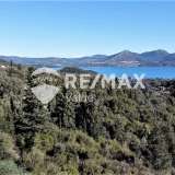  For Sale - (€ 0 / m2), Agricultural 8077 m2 Lefkada 7627711 thumb9