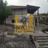  (For Sale) Residential Detached house || Evoia/Nileas - 232 Sq.m, 3 Bedrooms, 195.000€ Nilea 7727087 thumb10