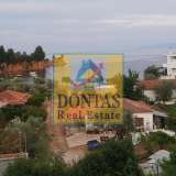  (For Sale) Residential Detached house || Evoia/Nileas - 232 Sq.m, 3 Bedrooms, 195.000€ Nilea 7727087 thumb4