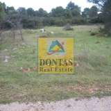  (For Sale) Land Plot || East Attica/Afidnes (Kiourka) - 68.000 Sq.m, 2.000.000€ Afidnes 7727090 thumb1