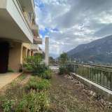  One bedroom apartment in a complex with a swimming pool Morinj 8128106 thumb0