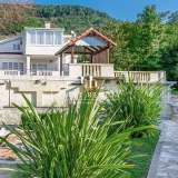  Luxurious country estate with huge plot Kavač 8128178 thumb0