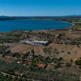  For Sale - (€ 0 / m2), Agricultural 37210 m2 Ermioni 8028182 thumb2