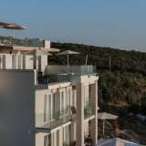  New spacious villa near the best beaches of the Budva riviera Budva 8128296 thumb3