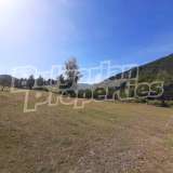  Regulated land with a panoramic view in the town of Troyan Troyan city 7928318 thumb2