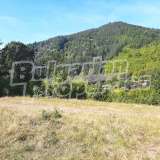  Regulated land with a panoramic view in the town of Troyan Troyan city 7928318 thumb20