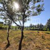 Regulated land with a panoramic view in the town of Troyan Troyan city 7928318 thumb4