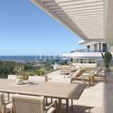  Appartements avec Terrasses Donnant sur la Mer à Estepona Estepona 8128369 thumb2
