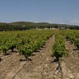  AOP Muscat de Frontignan producing Vineyard - Ideally located 20 minutes from Montpellier and 10 minutes from the A9, 60 hectare vineyard property in one piece with wine cellar and buildings with 5 apartments (two 2 bedroom and three 3 bedroom) with good  Montpellier 3928667 thumb2