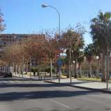   Alicante 2728713 thumb16