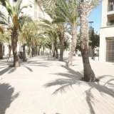   Alicante 2728713 thumb12