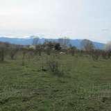  Agriculturall land with beautiful mountain panorama in Lozen Sofia city 3528746 thumb2