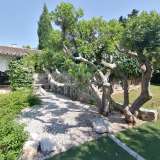  ISTRIA, UMAG Beautiful property with house and bungalows 250 m from the sea Katoro 8128858 thumb25