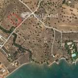  For Sale - (€ 0 / m2), Agricultural 5397 m2 Kranidi 7828901 thumb2