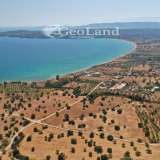  For Sale - (€ 0 / m2), Agricultural 5397 m2 Kranidi 7828901 thumb5