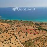  For Sale - (€ 0 / m2), Agricultural 5397 m2 Kranidi 7828901 thumb4