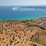  For Sale - (€ 0 / m2), Agricultural 5397 m2 Kranidi 7828901 thumb8