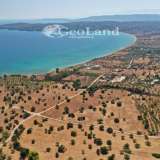  For Sale - (€ 0 / m2), Agricultural 5397 m2 Kranidi 7828901 thumb6