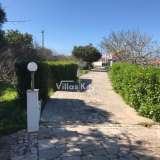   Vila do Bispo (Ouest Algarve) 4928098 thumb35