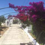   Vila do Bispo (Zachód Algarve) 4928098 thumb1