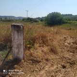  (For Sale) Land Plot || East Attica/Markopoulo Mesogaias - 2.400 Sq.m, 32.000€ Markopoulo Oropou 7129104 thumb2