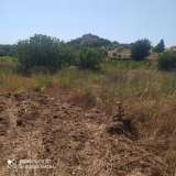  (For Sale) Land Plot || East Attica/Markopoulo Mesogaias - 2.400 Sq.m, 32.000€ Markopoulo Oropou 7129104 thumb1