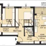   Sofia 5529173 thumb2