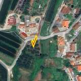   Viana Do Castelo 8129194 thumb1