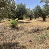  For Sale - (€ 0 / m2), Agricultural 6800 m2 Petalidi 8229262 thumb9