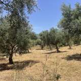  For Sale - (€ 0 / m2), Agricultural 6800 m2 Petalidi 8229262 thumb6