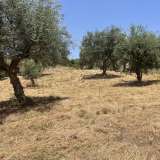  For Sale - (€ 0 / m2), Agricultural 6800 m2 Petalidi 8229262 thumb8