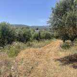  For Sale - (€ 0 / m2), Agricultural 6800 m2 Petalidi 8229262 thumb3
