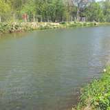  Рыбное хозяйство в 15 км от Боровец  с. Марица 3529344 thumb6