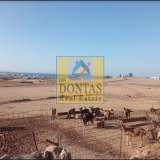  (Προς Πώληση) Αξιοποιήσιμη Γη Οικόπεδο || Κυκλάδες/Νάξος - 16.570 τ.μ, 670.000€ Naxos - Chora 7429454 thumb4