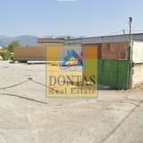  (For Rent) Commercial Warehouse || Athens North/Metamorfosis - 600 Sq.m, 6.000€ Athens 8029526 thumb2
