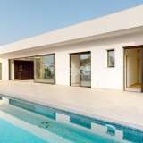  Villas Individuelles avec Piscine et Parking à Costa Calida Murcie 8129057 thumb2