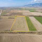  For Rent , Agricultural 16495 m2 Chrisoupoli 8129773 thumb9