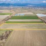  For Rent , Agricultural 16495 m2 Chrisoupoli 8129773 thumb4