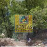 (For Sale) Land Plot || East Attica/Dionysos - 775 Sq.m, 280.000€ Dionysos 7129980 thumb1
