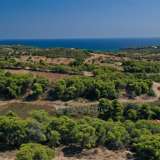  For Sale - (€ 0 / m2), Agricultural 6300 m2 Kranidi 8003306 thumb9