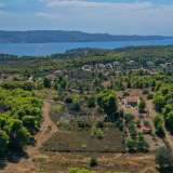  For Sale - (€ 0 / m2), Agricultural 6300 m2 Kranidi 8003306 thumb4