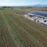  For Sale - (€ 0 / m2), Agricultural 4150 m2 Drama 8103807 thumb2